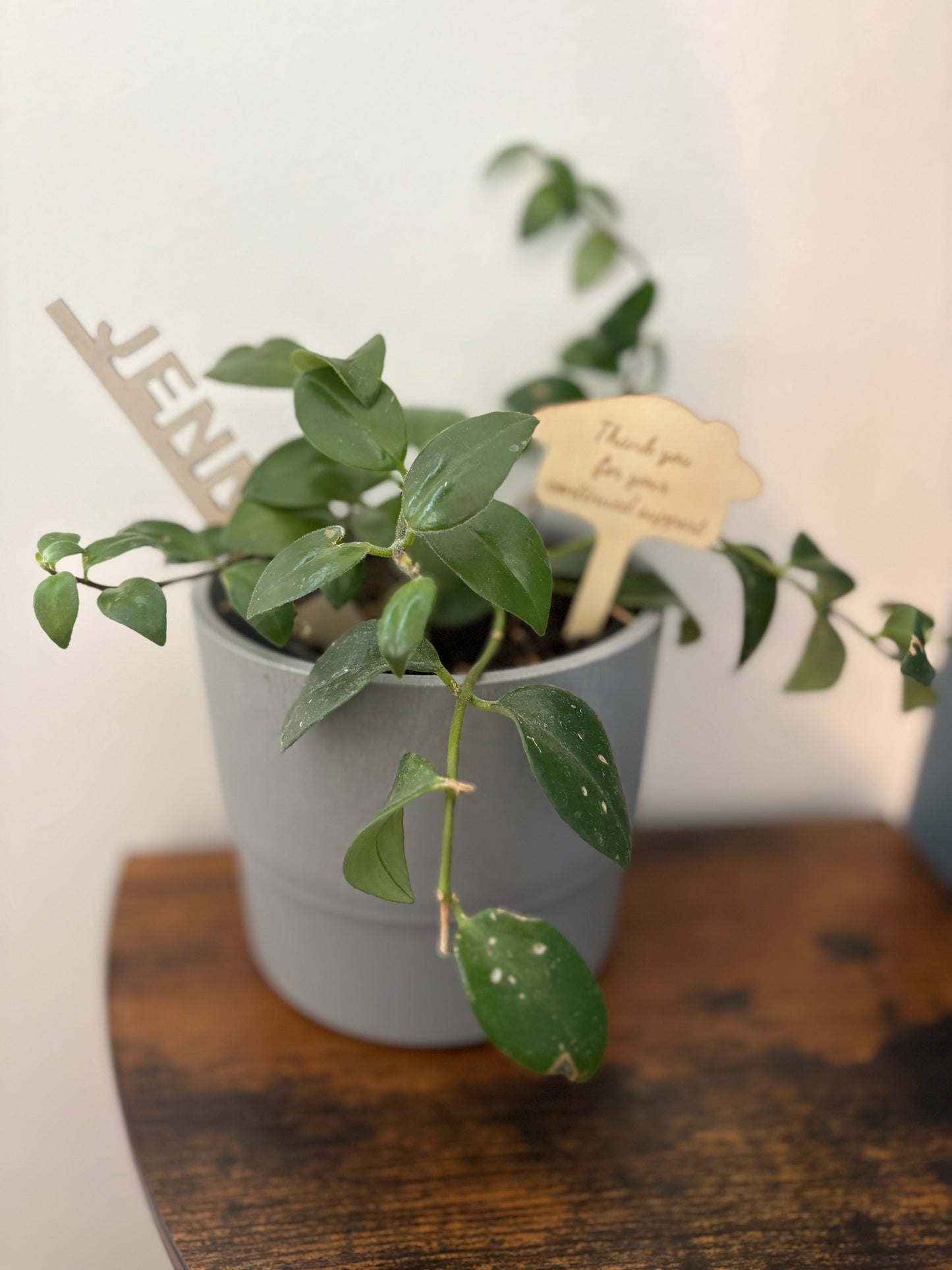 Personalized Gratitude Plant