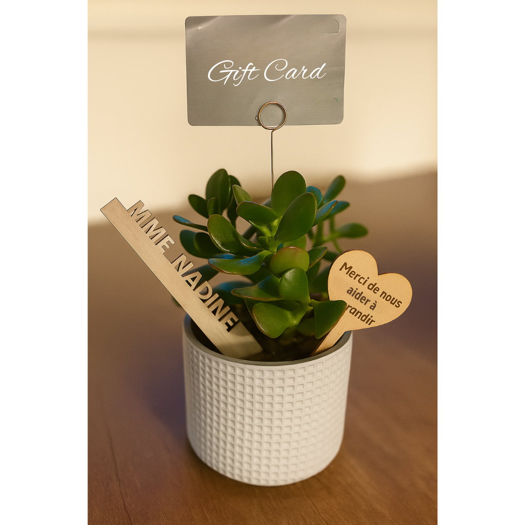 Personalized Gratitude Plant
